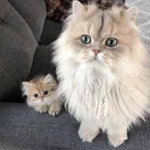 Meet your Posher, Bethany